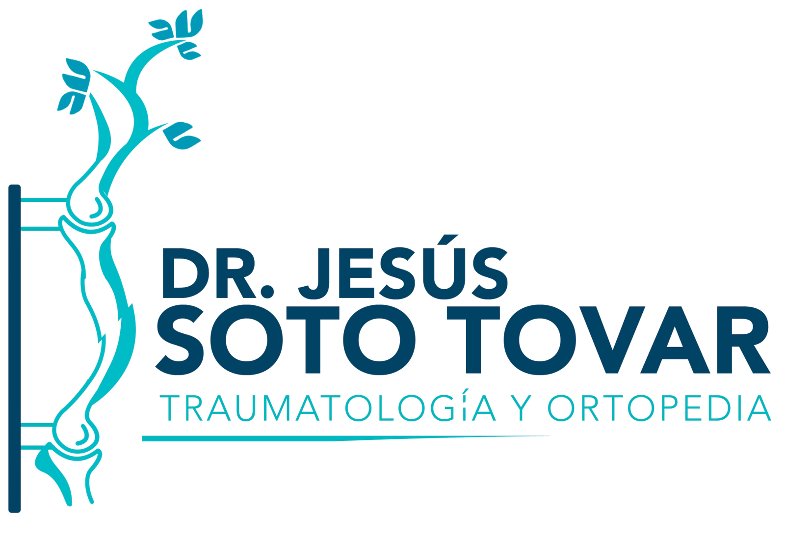 Dr. Jesús Soto Tovar